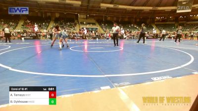 92 lbs Consi Of 16 #1 - Amir Tamayo, Best Trained Wrestling vs Braden Dykhouse, Massa's Maniacs