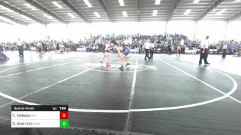 113 lbs Quarterfinal - Cruz Vallejos, Valley Bad Boys vs Daniel Guerrero, Sahuarita Mustangs