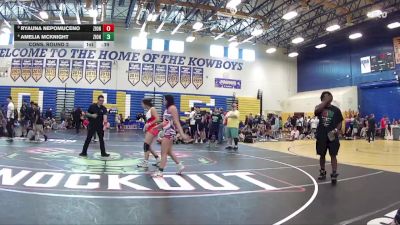 135 lbs Cons. Round 2 - Ryauna Nepomuceno, Viera Hammers vs Amelia Mcknight, Lincoln High School