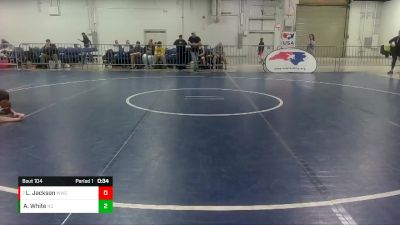 102 lbs Quarterfinal - Liam Jackson, Wolverine Wrestling Club vs Aj White, North Carolina