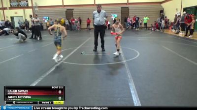 64 lbs Quarterfinal - Caleb Swain, Henlopen Hammers vs James Messina, Cedar Grove