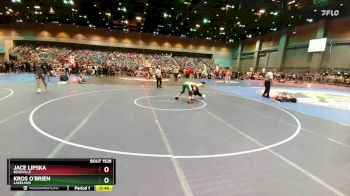 138 lbs Cons. Round 3 - Jace Lipska, Roseville vs Kros O`Brien, Lakeland