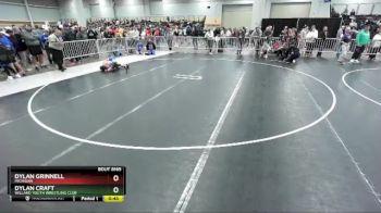 74 lbs Cons. Round 3 - Dylan Grinnell, Michigan vs Dylan Craft, Willard Youth Wrestling Club