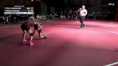 100 lbs Round 1 - Aylla Karahodzic, Waterloo West vs Pricila Rosales, Iowa City Liberty
