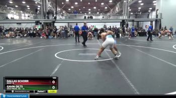 132 lbs Round 7 (10 Team) - Gavin Dilts, Gold Medal WC vs Dallas Schorr, D3TC