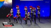 Star Steppers Dance - Senior Small Pom [2025 Senior Small Pom Prelims] 2025 The Dance Worlds