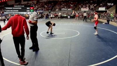 D 2 120 lbs Champ. Round 1 - Dominic Schopfer, Archbishop Rummel vs Luke Belanger, Caddo Magnet