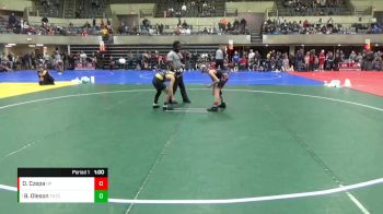 85 lbs Round 3 - Brady Oleson, Team Nazaar Traing Center vs Owen Czepa, New Prague