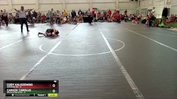 48 lbs Round 5 (6 Team) - Carson Carolus, Revolution Elite vs Cody Kaliszewski, Donahue WA