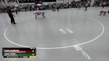 138 lbs Cons. Round 3 - Tyler Haneborg, Midwest Destroyers Wrestling Club vs Trent Sharp, Beast Mode Wrestling