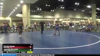 170 lbs Semis & 1st Wrestleback (8 Team) - Nathan Williams, South Johnston vs Dylan Ayoub, Blue Steel