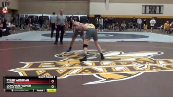 165 lbs Champ. Round 2 - Donovan Palmer, Baldwin Wallace vs Tyler Weseman, Lourdes