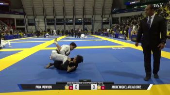 André Miguel Areias Cruz vs Park Jaewoon 2026 World Jiu-Jitsu IBJJF Championship
