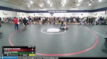 195 lbs Quarterfinal - Nathan Chavez, Connell vs Theodor Richards, Ki-Be