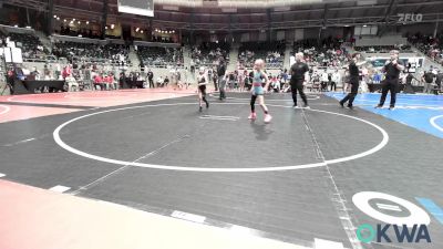 43-47 lbs Quarterfinal - Violet Jones, Honey Badgers Wrestling Club vs Preslie Dickerson, Blue Devil Wrestling