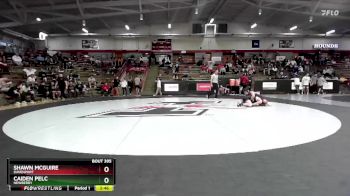 133 lbs Cons. Round 3 - Caiden Pelc, Newberry vs Shawn McGuire, Davenport