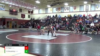 115 lbs Cons. Semi - Stella Houselog, Dubuque Hempstead vs Ruby Neal, Dubuque Senior