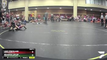 91 lbs Round 2 (4 Team) - Adrian Feliciano, Carolina Hammer Squad vs Gabriel Diaz, Team Palmetto