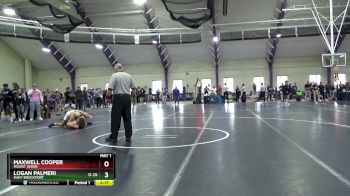 157 lbs Champ. Round 1 - Maxwell Cooper, Mount Union vs Logan Palmeri, Suny Brockport