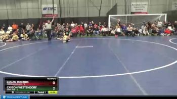 85 lbs Round 3 (6 Team) - Logan Robirds, Nebraska Black vs Cayson Westendorf, Iowa Red