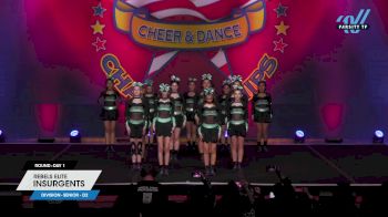 Rebels Elite - Insurgents [2024 L1 Senior - D2 Day 1] 2024 The American Masterpiece San Jose National