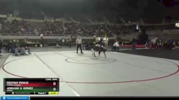 107 lbs Cons. Semi - Destiny Pogue, Pueblo Magnet vs Adriana A. Gomez, Basha