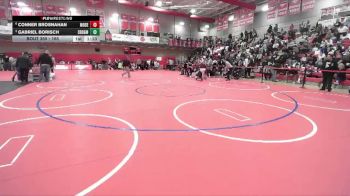 165 lbs Quarterfinal - Gabriel Borisch, Southridge vs Conner Brosnahan, Moses Lake