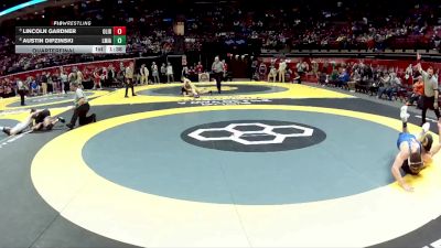 D1-165 lbs Quarterfinal - Lincoln Gardner, Olen. Liberty vs Austin Dipzinski, Little Miami