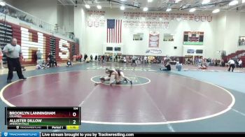 114 lbs Quarterfinal - Allister Dillow, American Falls vs Brooklyn Lanningham, Columbia