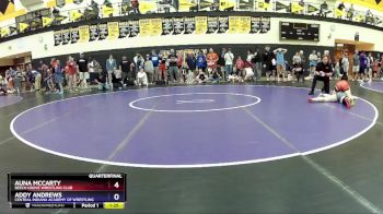 118 lbs Quarterfinal - Auna McCarty, Beech Grove Wrestling Club vs Addy Andrews, Central Indiana Academy Of Wrestling