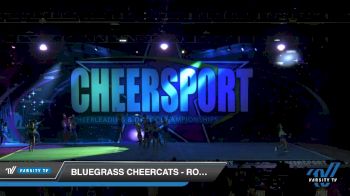 Bluegrass Cheercats - Royal Sabers [2020 Senior Coed Small 5 D2 Day 2] 2020 CHEERSPORT National Cheerleading Championship