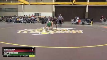 125 lbs Semifinal - David Panda, Baldwin Wallace vs Matt Caccamise, Brockport