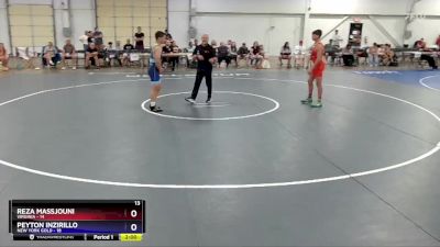 125 lbs Placement Matches (8 Team) - Reza Massjouni, Virginia vs Peyton Inzirillo, New York Gold