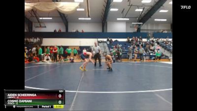 125 lbs Finals (2 Team) - Aiden Scheeringa, Liberty vs Cosmo Damiani, Ithaca