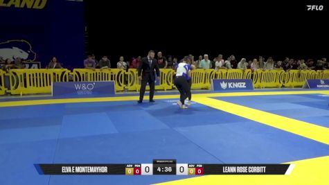Leann Rose Corbitt vs Elva E Montemayhor 2025 Pan IBJJF Jiu-Jitsu No-Gi Championship