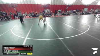 113 lbs Semifinal - Aiden Mincey, Minnesota vs Anthony Nichols, Edina Wrestling Club (Assoc.)