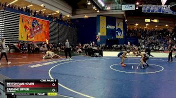 113 lbs Cons. Round 3 - Peyton Van Hoven, Mountain View vs Carmine Sipper, Caldwell