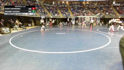 83 lbs Consy 3 - Kiara Caporusso, Shenandoah Valley vs Delaney Slovick, Burgettstown