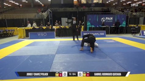 Gabriel Rodrigues Quesada vs Jorge F Chavez Polack 2025 Pan Jiu Jitsu IBJJF Championship