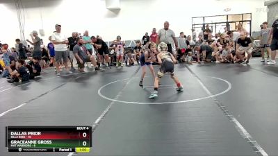 52 lbs Round 2 (4 Team) - Dallas Prior, Killa Bees vs Graceanne Gross, Mat Warriors