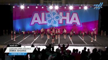 Carolina Spirit Athletics - Zebra Sharks [2025 L1 Youth - D2 Day 1] 2025 Aloha Concord Showdown