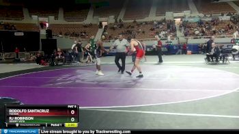 D1-175 lbs Quarterfinal - Rodolfo Santacruz, Tucson vs RJ Robinson, Desert Vista