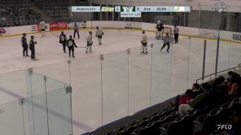 Replay: Home - 2024 St. Thomas vs Elmira | Dec 1 @ 6 PM