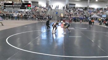 A 157 lbs Champ. Round 1 - Nathaniel Calvillo, Fairview High School vs Memphis McCullogh, Station Camp High School