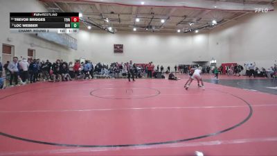 113 lbs Champ. Round 3 - Loc Webber, Dublin Coffman vs Trevor Bridges, Teays Valley