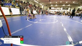 49 lbs Quarterfinal - ROWDY BLAKE, R.A.W. vs Luke Sandlin, Vian Wrestling Club