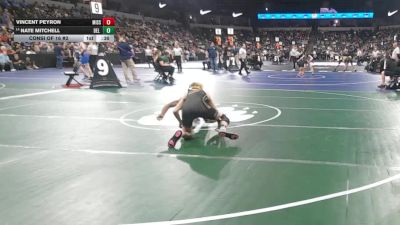 126 lbs Consi Of 16 #2 - Vincent Peyron, Mission Oak (CS) vs Nate Mitchell, Del Oro (SJ)