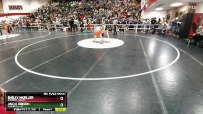 140 lbs 3rd Place Match - Bailey Mueller, Natrona County vs Andie Gibson, Lander Valley