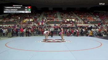 115 lbs 1st Place Match - Carrigan Dellinger, Rose Hill HS vs Stella Bradley, Tonganoxie Hs