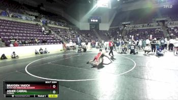 105 lbs Semifinal - Brayden Yakich, Black Fox Wrestling Academy vs Asher Cabral, Florida